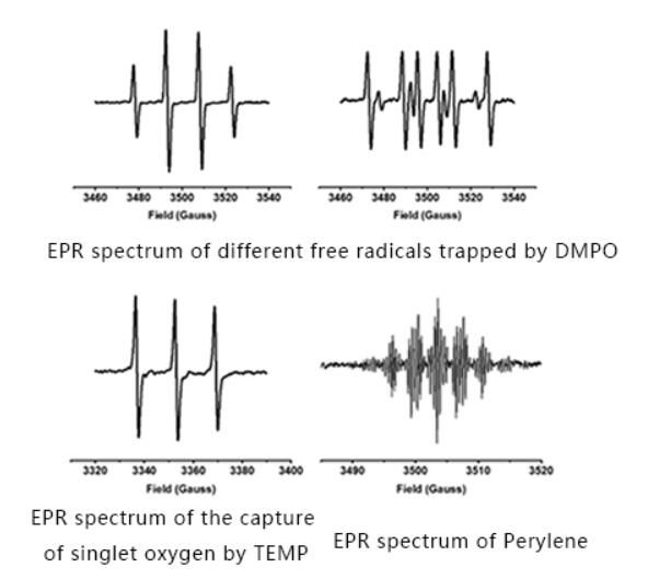 EPR Applications EPR Detection of Free Radicals
