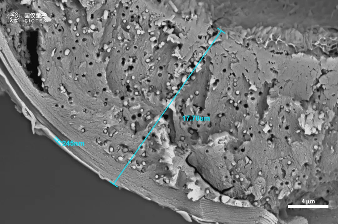  CIQTEK Tungsten Filament Scanning Electron Microscope 