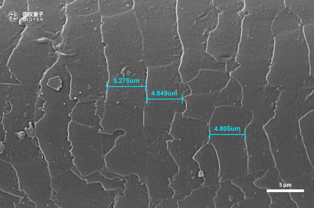  CIQTEK Tungsten Filament Scanning Electron Microscope 