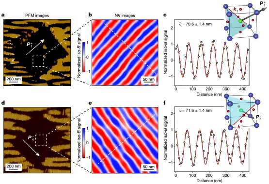 Scanning Nitrogen-vacancy Probe Microscope (SNVM)