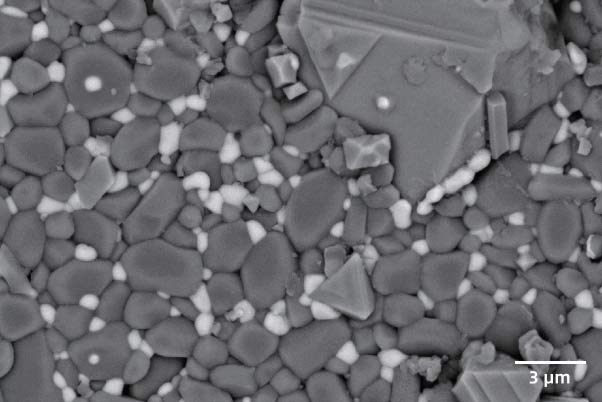 sem image analysis Ceramic Substrate