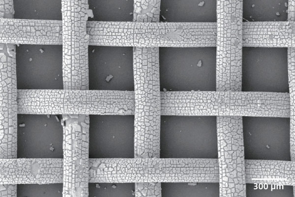 sem image analysis - Nickel mesh