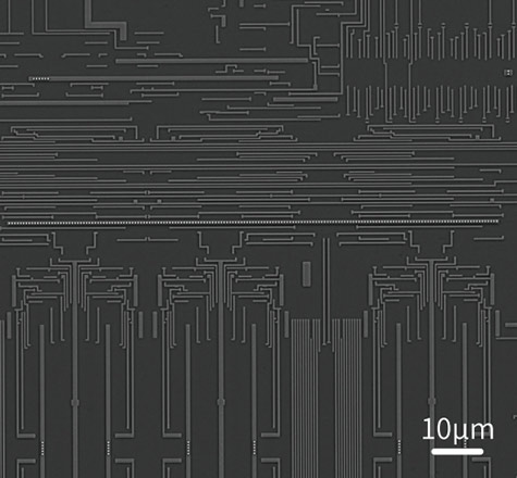 sem image analysis IC Chip (Metal layer)