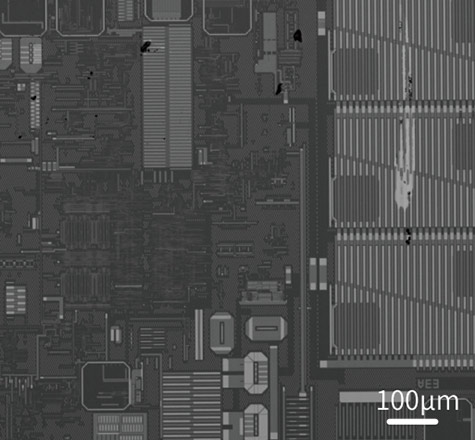 sem image analysis IC Chip (Metal layer)