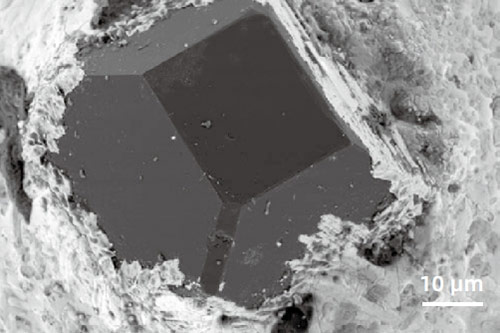 FESEM Microscope Atomic number contrast (Z-contrast)  image with retractable BackScattered Electron Detector imaging