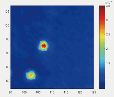 SNVM Confocal Scan