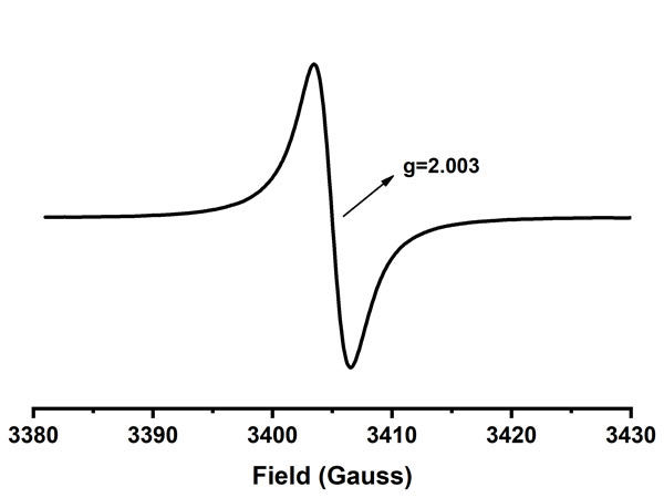 EPR spectra of vacancy