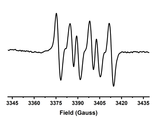 EPR spectra of superoxide anion radicals captured by DMPO