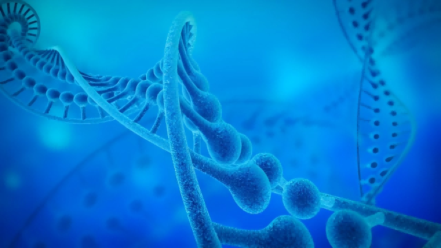 The Application of Electron-electron Double Resonance (DEER) Technique in DNA Structure Analysis