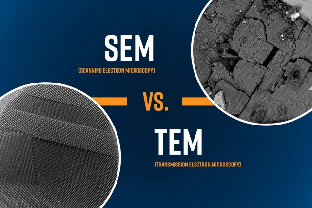 Which microscope is more suitable for you? TEM or SEM