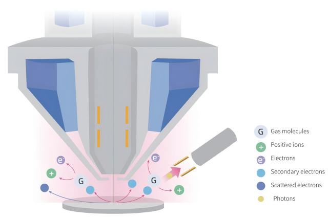 FAQ of Scanning Electron Microscope (SEM) 