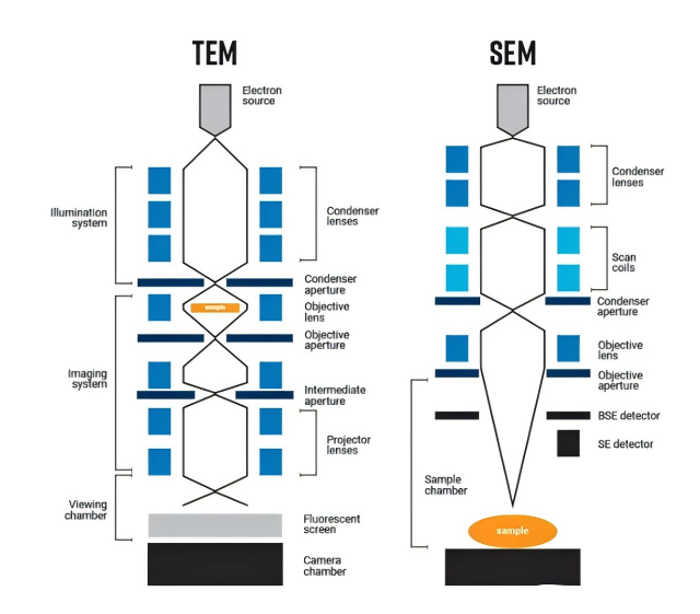 The differences between Scanning Electron Microscope（SEM ）and Transmission Electron Microscope（TEM)